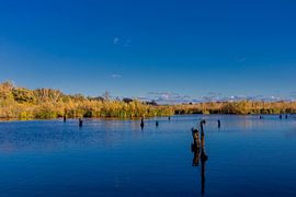 Beautiful autumn walk on the Polish Baltic Sea by Oliver Hlavaty