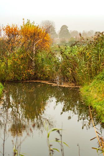Autumn landscapes Haar-Zuijens, Utrecht