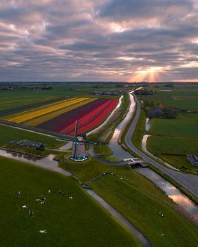 Windmühle zwischen bunten Tulpen und Wasserwegen von Ewold Kooistra