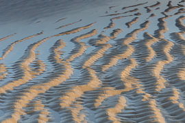 Repeated sand ripples by Heidi Bol