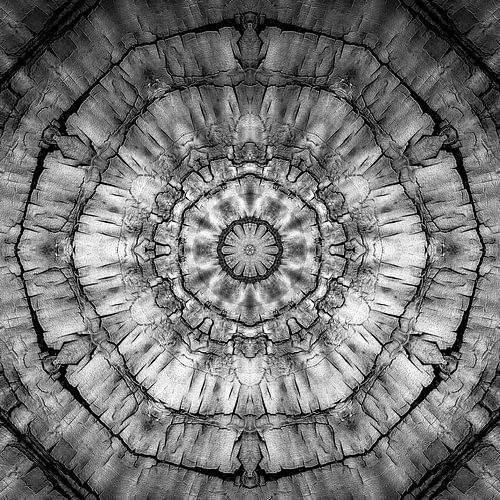 Mandala boomschors in z/w