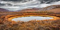 Tundra landscape in the Yukon in autumn by Chris Stenger thumbnail