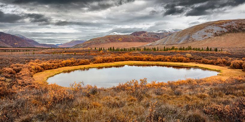 Tundra landscape in the Yukon in autumn by Chris Stenger
