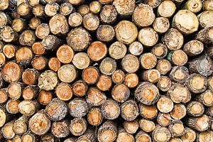 Pile de bois de troncs d'arbres