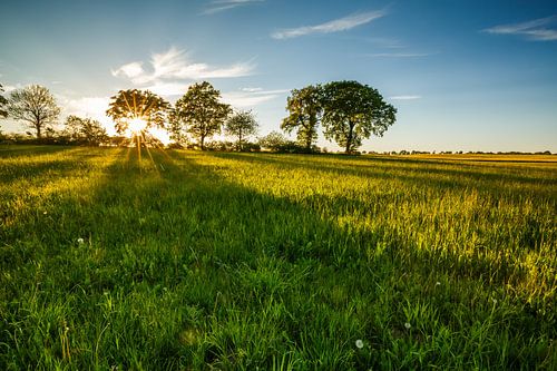 Paysage de mai sur Ursula Reins
