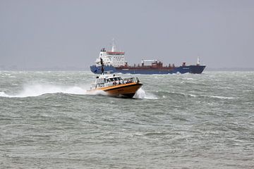 Loodsboot op de Westerschelde bij Vlissingen van MSP Canvas