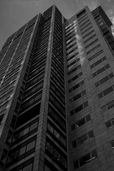 A view from the ground | Amsterdam | The Netherlands Travel Photography by Dohi Media