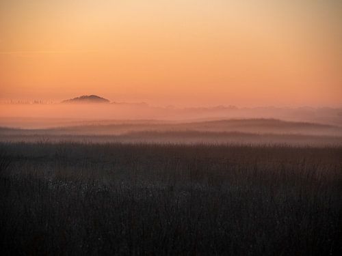 Abendnebel auf der Hoge Veluwe