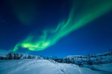 Northern Lights . Aurora Borealis by Gerald Lechner