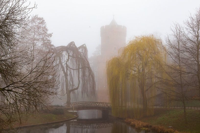 Der Kronenburgpark im Nebel von Rob Peters