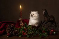 Christmas kitten by Elles Rijsdijk thumbnail