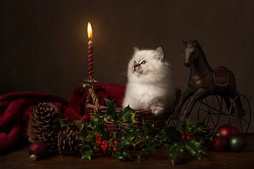 Christmas kitten by Elles Rijsdijk