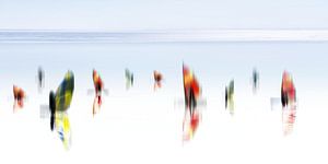 Windsurfer_5