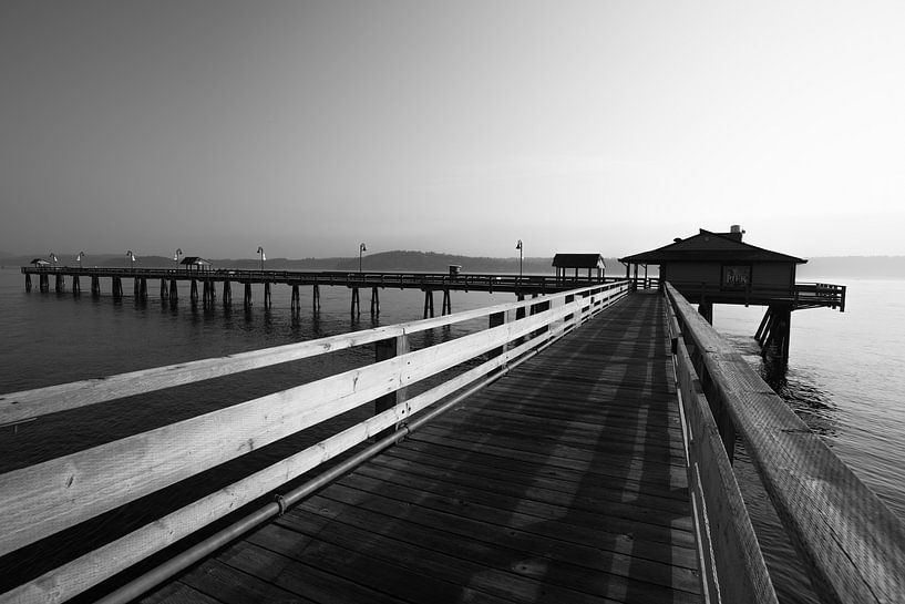 Pier Campbell river, vancouver islands by Robinotof