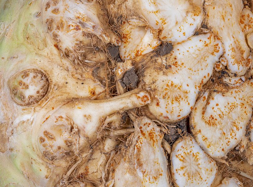 Photo macro abstraite d'un céleri par ManfredFotos