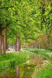 Un endroit idyllique au bord de l'eau sur Jenco van Zalk