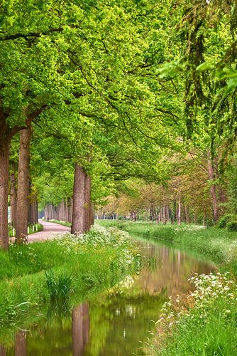 Idyllisch plekje aan de waterkant
