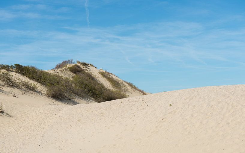 Zandduinen bij Kijkduin van Peter Schütte