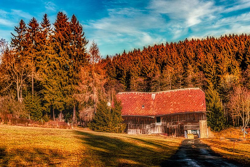 The shed by Johnny Flash