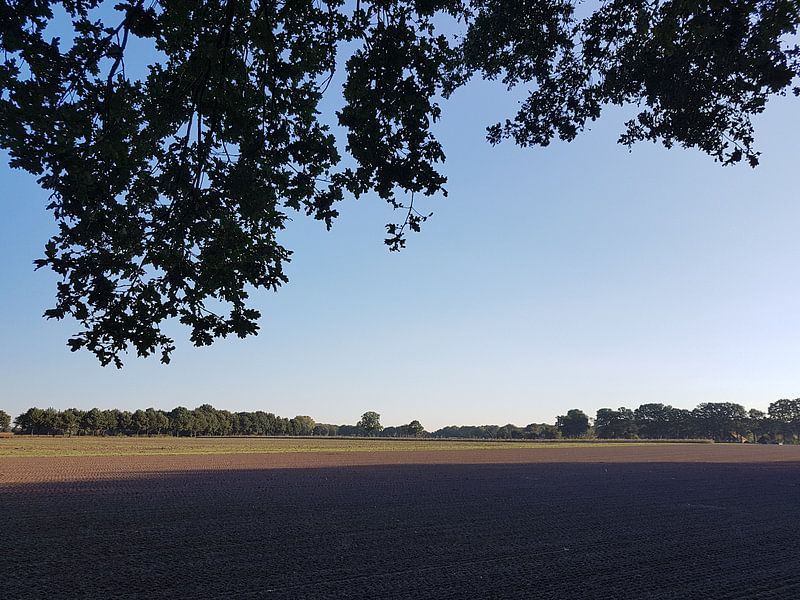 Landscape in the Achterhoek by Joke te Grotenhuis