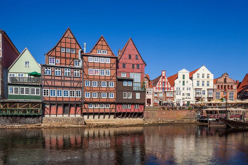 Historische huisgevels Am Stintmarkt, rivier Ilmenau, oude binnenstad, Lüneburg, Nedersaksen, Duitsl van Torsten Krüger
