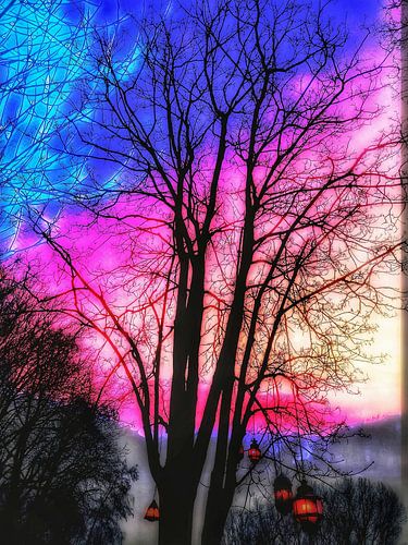 Surreale Traumbäume bei Nacht bunt