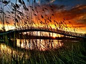 zonsondergang in Maximapark van fotosvan leidscherijn thumbnail