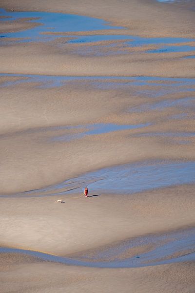 Morning walk at low tide by Bart Wilmer