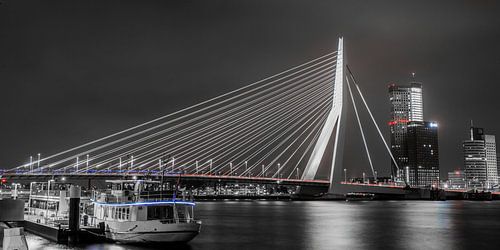 Rotterdam Erasmusbrug