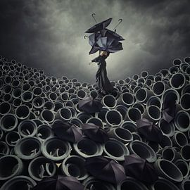 ein unterbrochenes Ständchen von hardibudi