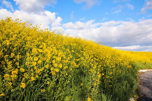 Spring is just around the corner