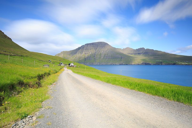 Mula in the Faroe Islands. by Erik Vergunst