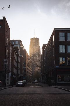 Laurenskerk, Rotterdam van Joey van Embden