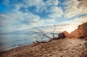 Beach Sellin sur Steffen Gierok