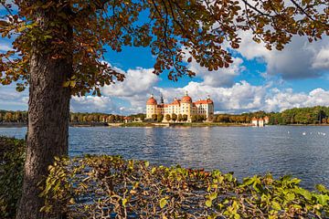 Uitzicht op kasteel Moritzburg in Saksen van Rico Ködder