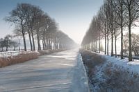 Meetjesland I