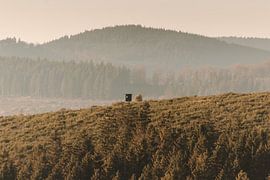 Observation post in Sauerland by Lars Meijer