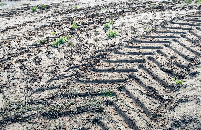 Des traces de pneus dans l'argile vues de près par Ruud Morijn