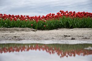 Reflectie van MdeJong Fotografie