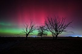 AURORA by Marvin Schweer