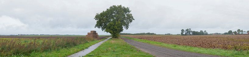 Bordure de Bourtange par Richard Wareham