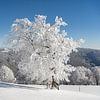 L'hiver dans la Forêt-Noire sur Michael Valjak