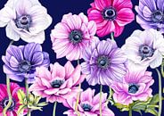 Anemones cheerfulness by Geertje Burgers thumbnail