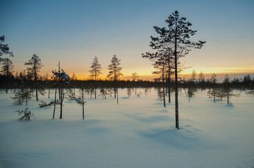 zonsondergang in de winter van Pieter Heine