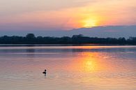 Zonsondergang op meer met watervogel van Foto Dani thumbnail