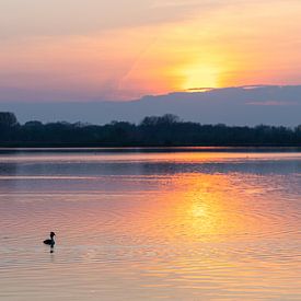 Zonsondergang op meer met watervogel van Foto Dani