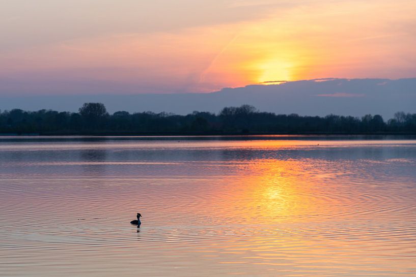 Zonsondergang op meer met watervogel van Foto Dani