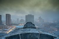 moody rotterdam
