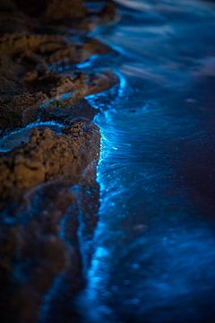 sea spark by Sjon de Mol