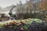 Herbst